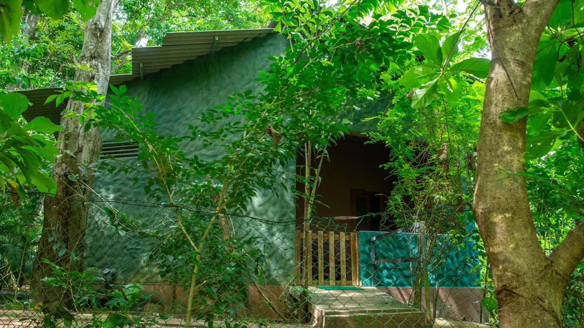 Silent Bungalow Udawalawe Exterior foto